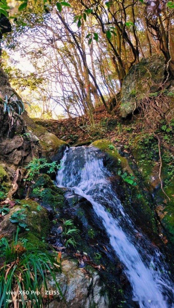 甜蜜糖果岛